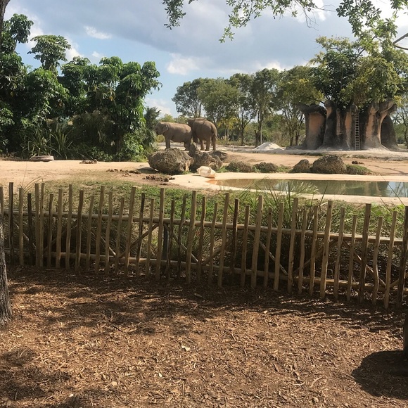 Meet your Posher, Yao - Picture 1 of 1